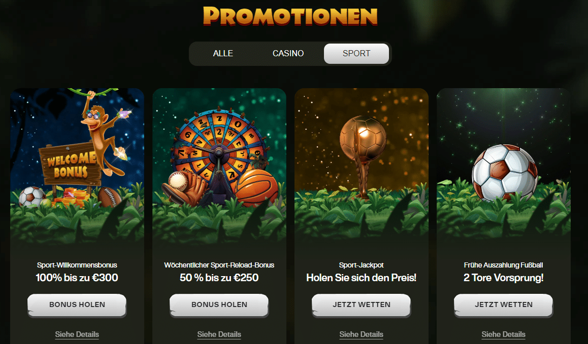 cashwin sportwetten bonus