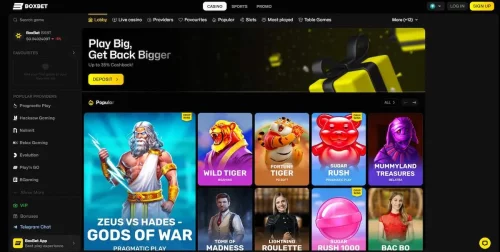 Boxbet Gallerie