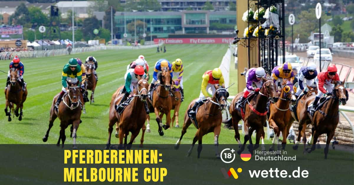 Pferderennen Melbourne Cup Prognose