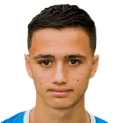 Tijjani Reijnders Tijjani Reijnders