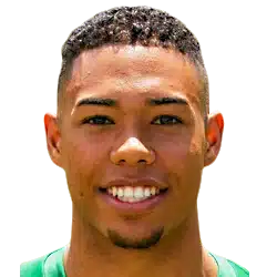 Milan van Ewijk Milan van Ewijk