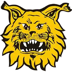 Ilves Ilves