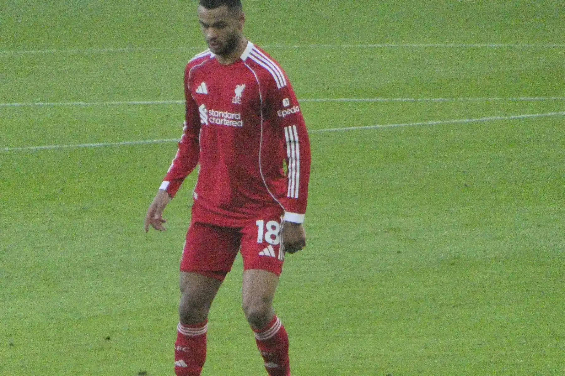 Cody Gakpo in seinem roten Liverpool FC Trikot auf dem Spielfeld.
